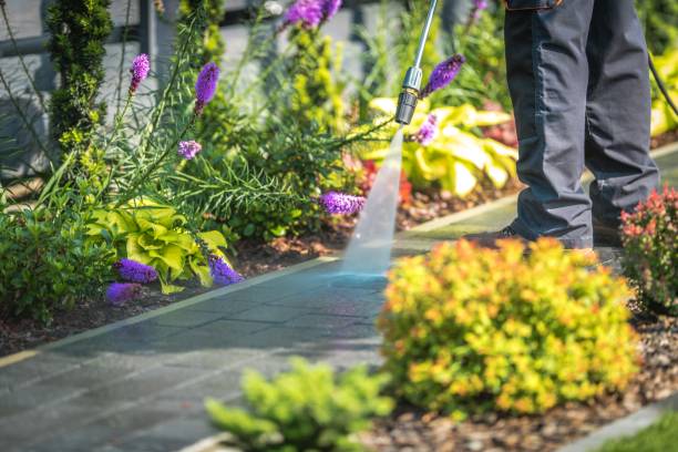Best Brick and Stone Cleaning in Crab Orchard, WV